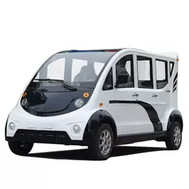 其他电动车;电动观光车