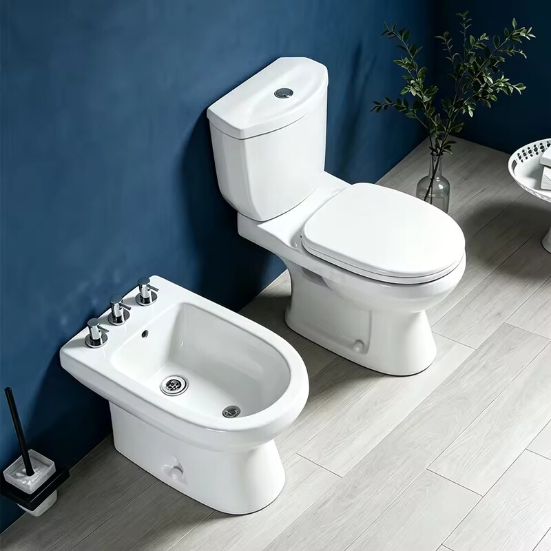 Export of ceramic toilets to Argentina, Europe, and the Middle East, ceramic bidet, floor-standing toilet for bathroom Export of ceramic toilets to Argentina, Europe, and the Middle East, ceramic bidet, floor-standing toilet for bathroom
