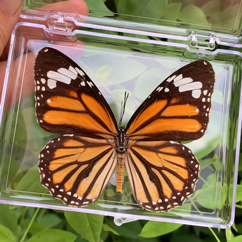 O1CN01ZdtgA01tP2nTpUK5t_!!5247