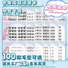 [���ΌW��]�������z�ٽ�ë��ж���Q��Ӣ�p�Z�׿���Ȼ����