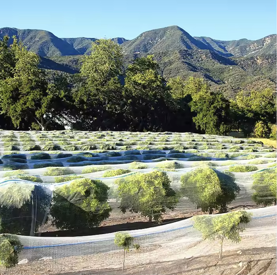 宜豪美牌跨境热卖加密加厚折叠大棚防虫网塑料沙网防虫网种菜专用