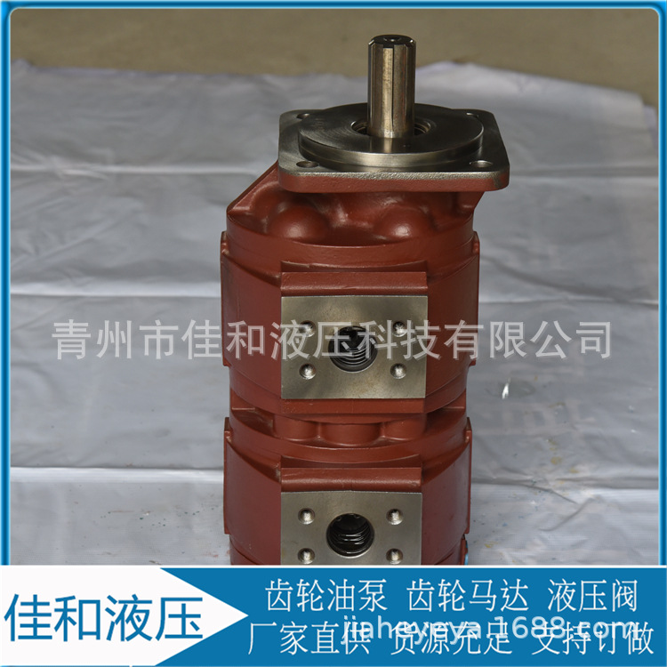 吊车工作泵    1010000007吊车液压泵  吊车齿轮泵