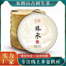 大雪山冰岛普洱茶生茶饼云南普洱茶七子饼茶一件代发古树生茶357g