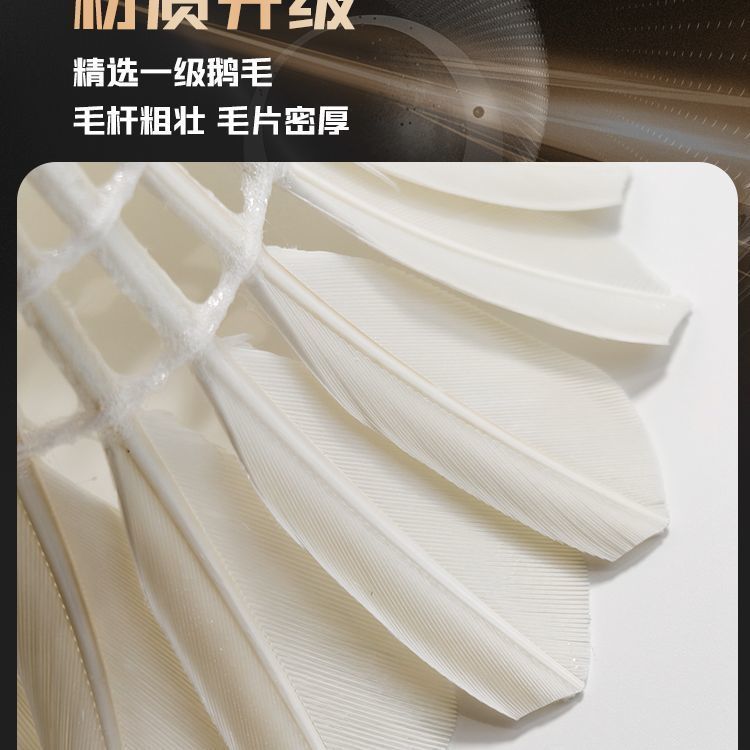 精彩永恒G6正品羽毛球鹅毛比赛室外专业训练竞技首选飞行稳24只装|undefined
