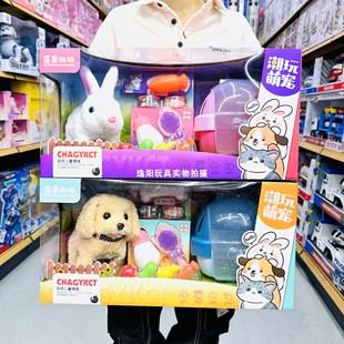 Mango Trendy Cute Pet Dog, Rabbit, Cat Pet House Electric Walking Plush Doll Children's Toy