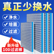 �~���^�V�޸��ܶȼӺ��B�~ϴ������ˮ�������������^�V������