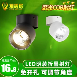 筒灯;LED球泡灯;LED日光灯