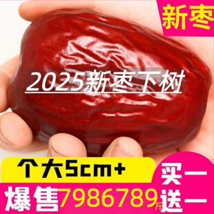 5���½��t���ؼ���������خa�ش�t���ӟo�˶Y�йٷ���Ş��