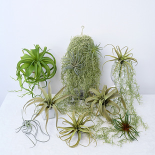 �՚��ֲ��ɳĮ�Gֲ�쾰����횷����P�晻�����ö���M�ψ����[��