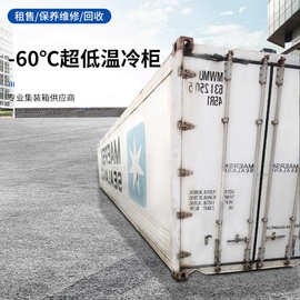 -60℃低温冷柜标准集装箱货柜冷藏集装箱租赁海运集装箱冷柜