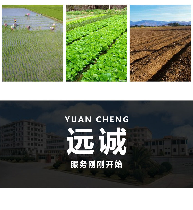 未標題-1_04