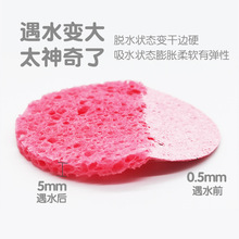 天然木浆棉洗脸扑粉色压缩卸妆海绵遇水变大洁面清洁去角质海绵扑