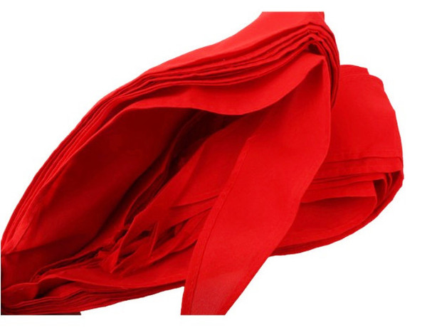 Neckerchief