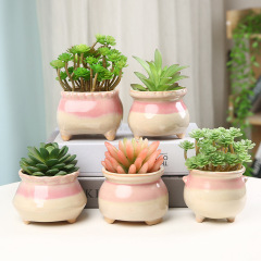 Cute Fresh Pink Milk Can Ceramic Flower Pot Creative Square Succulent Plant Pot Decor Korean Style Home Accent