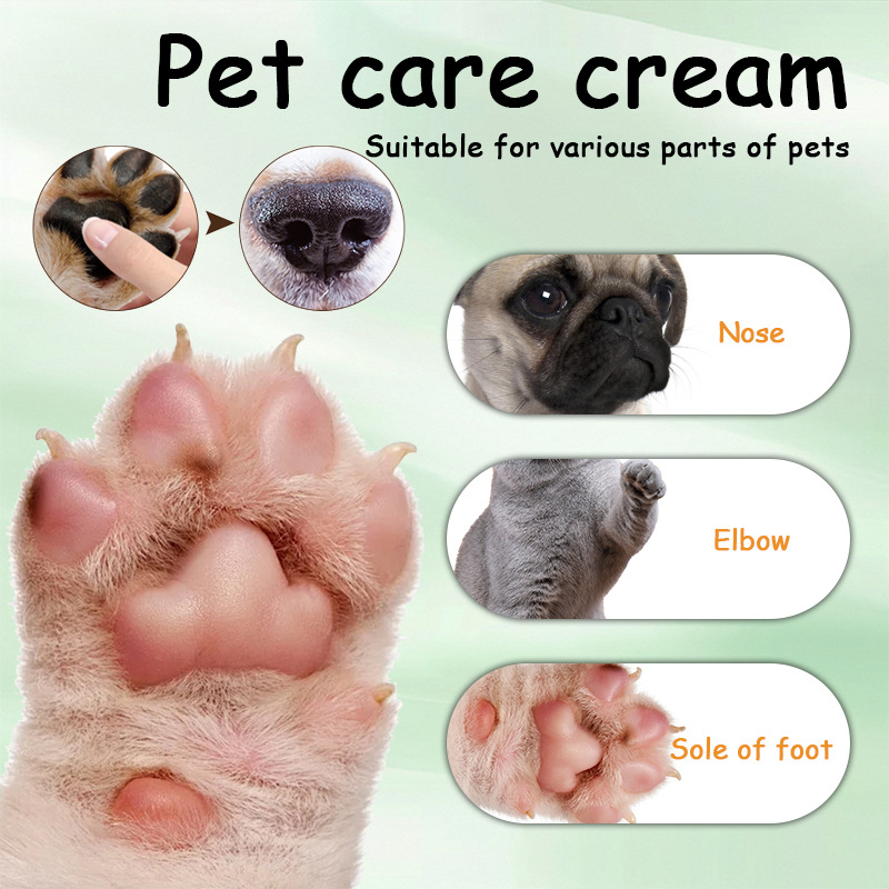 Patte de compagnie à base de plantes naturelles et crème de soins de la peau pour chiens chats 40g
