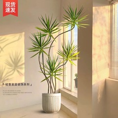 龍血樹の鉢植え、緑の観葉植物、室内大型、リビングルーム用大型盆栽、多頭龍鉄樹、龍ひげ樹、人工観葉植物、オフィス用