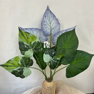 ����ֲ�����3�~�t���~�R���~�Ҿ��b��滨�ָ����~�Gֲ������