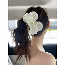 WͬmץA߅ȼLɷՇбPl~A^