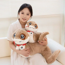 �¿�����С��ë�q��ż�����߹��в����ރ�ͯë�q������l�Y��