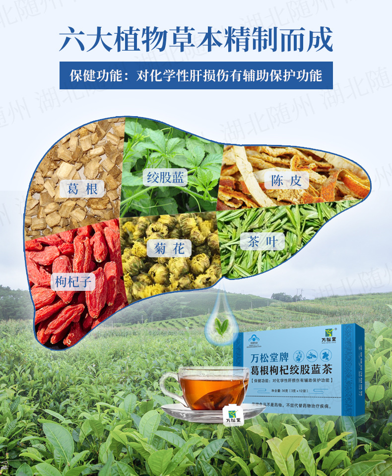 万松堂牌葛根枸杞绞股蓝茶_02