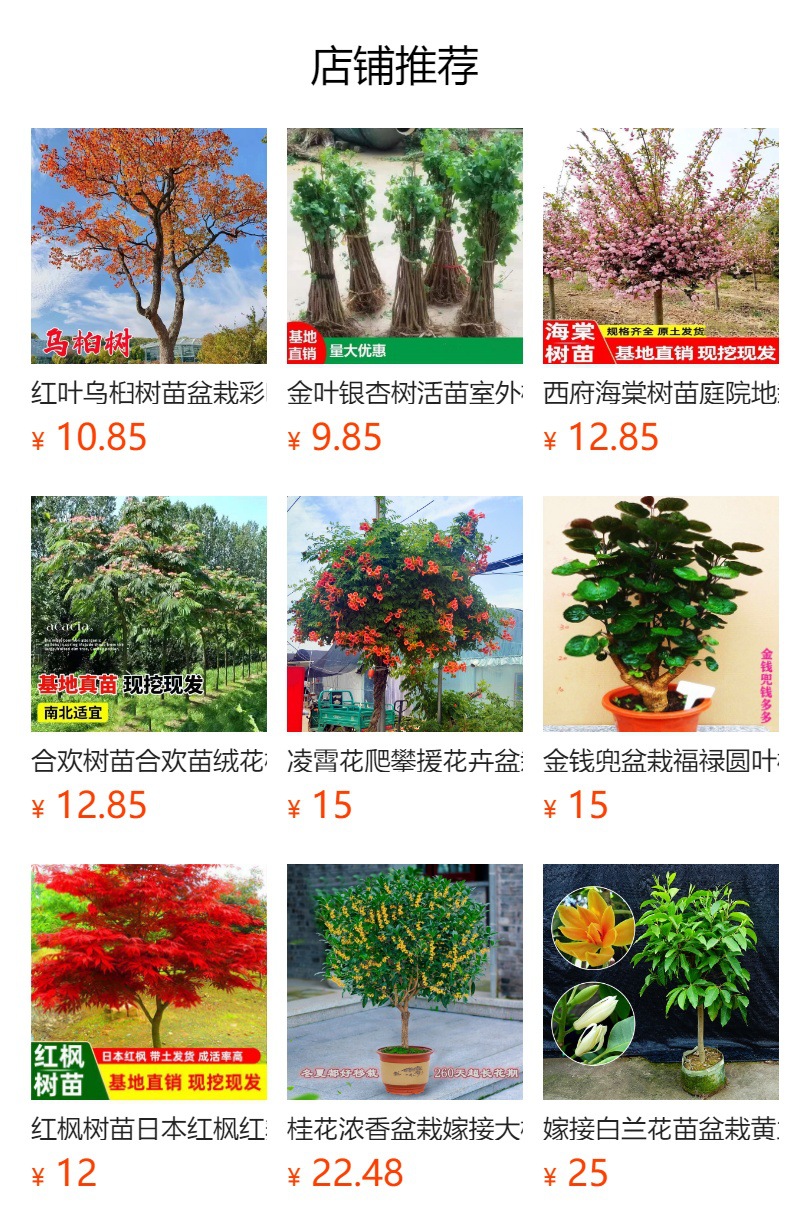 详情图