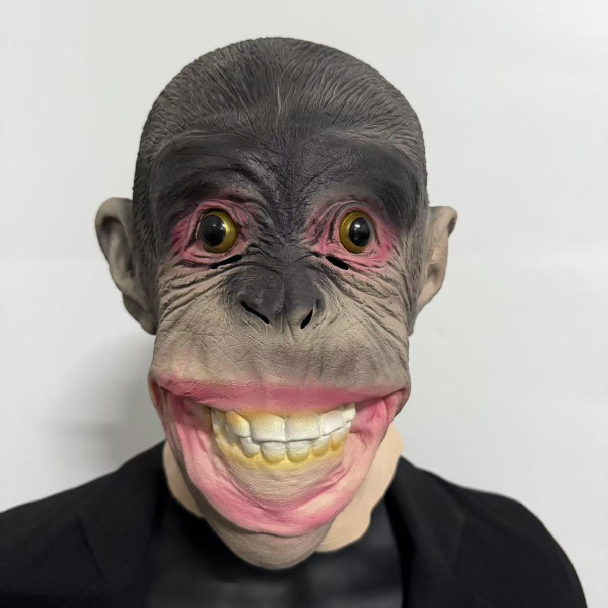 Gorila gorilla gorilla