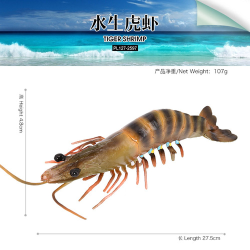 Simulated marine animal shrimp model, tiger shrimp, Penaeus monodon, green shrimp, river shrimp, children's cognitive teaching aids, ornaments and toys