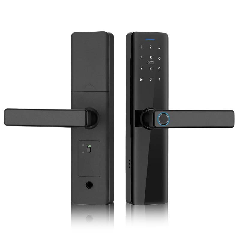 Fingerprint-password-key-swipe card-Tuya WiFi-APP (standard configuration 22*160…