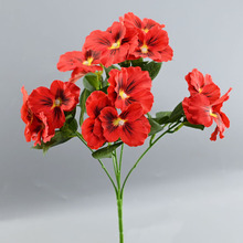 ���S���l����5�^�����m��̨�b[�����������Ĕz�羳�����û�