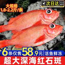 �tʯ���~�r������t�~��đ���F�~����~���~���r���rˮ�a