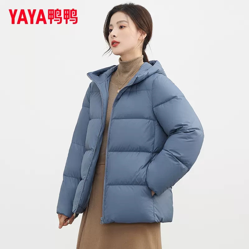 헤이즈 블루