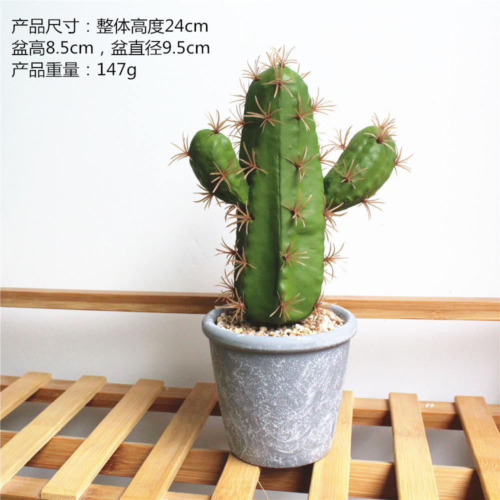 JH925 Columna de Cactus ☆