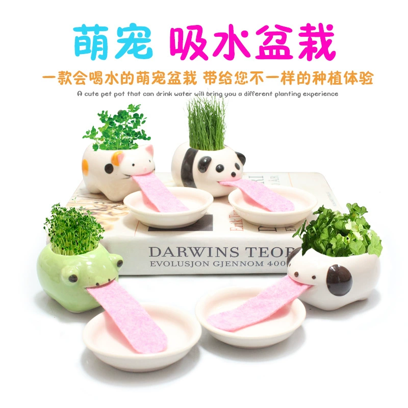 DIY Творческий абсорбирующий милый горшок для домашних животных художественный студенческий подарок кукла из травы офисный мини-горшок для растений