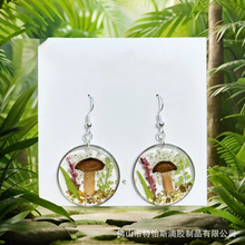 �¿�Ģ���G�~�滨�ɻ��𲭵��z���h�����ֹ�DIY�ƷС�Y����