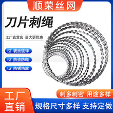 �F؛�L�\��Ƭ���K���P䓵�Ƭ�̾W���I�̎����F�z���I���������̾W