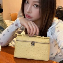 跨境热销2026新款鸵鸟纹饭盒包高级感手提化妆包女包斜挎手机包女