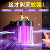 跨境电蚊子灭蚊灯户外驱蚊灯紫光诱蚊充电式灭蚊神器可充电