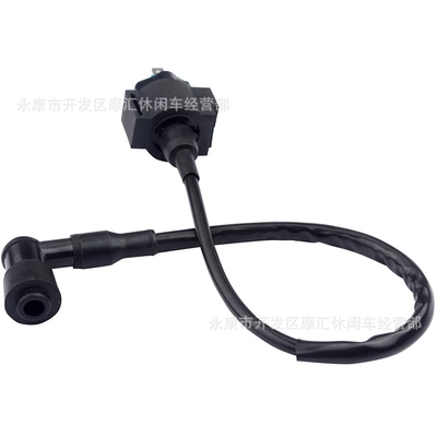 Alovlanma bobini (Babinalar) CB125T CBT125 CM125