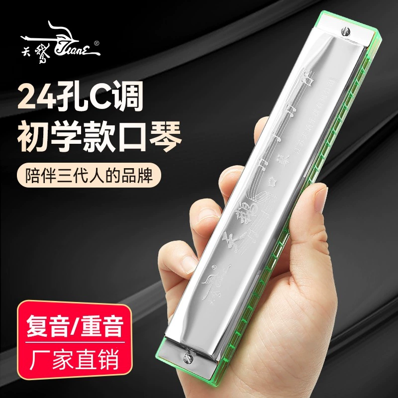 Лебединая губная гармоника Начинающий студент 24 Отверстия вводный детский полифонический взрослый профессиональный акцент C тон мундштук орган инструмент