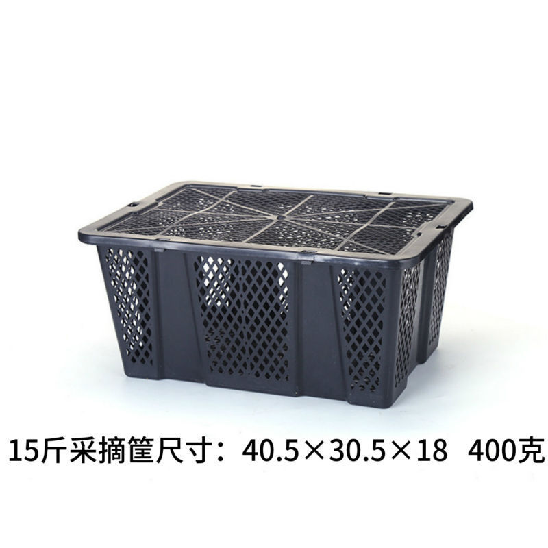 蓋付きプラスチック輸送回転かご箱枠ブドウかご楊梅かご果物摘採輸送バスケット野菜かご枠|undefined