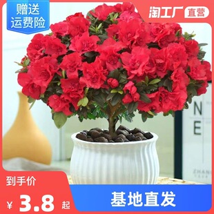 ���N�������ذ껨��ֲ���҃��ļ��_���r������������Gֲ���B�׻�
