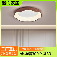 卧室灯现代简约创意网红led房间灯具北欧极简家用主卧书房吸顶灯