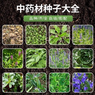 ɢ�b�N�� �S�ηN�� �S��ș�ݷN���S�ηN���F�������ļ��Nֲ������