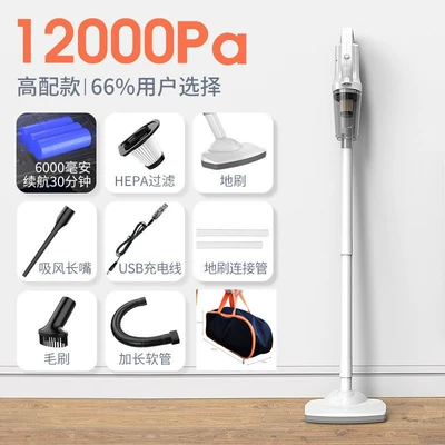 Cleaner Handheld Vacuum Cleaner Wireless: Tozsoranlar - vacuum-cleaner-mop-1-filter-bag