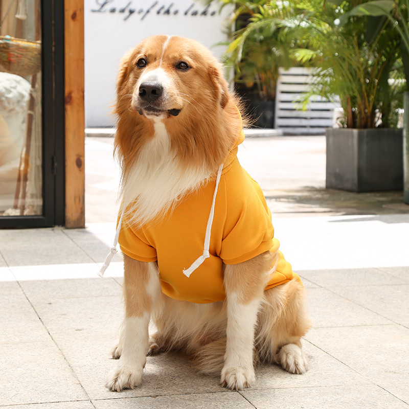 Casual Poliéster Color Sólido Ropa Para Mascotas display picture 1