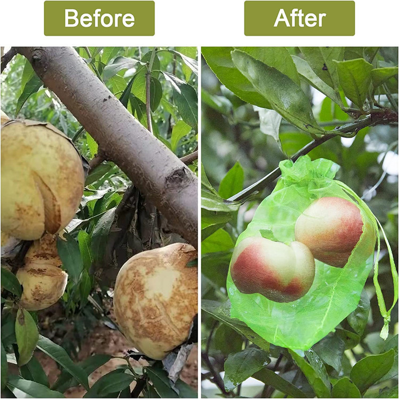 Amazon fruitprotection Bag果物ぶどういちご防虫防鳥ネットバッグ現物|undefined