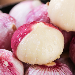 �a��ֱ�������Ƥ���^�� �r���߲˪�������^��؛�������F������