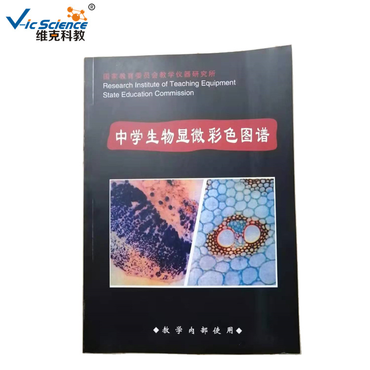 生物教学 显微镜镜下组织图谱 中学生物显微镜彩色图谱