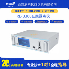Runlai 微量水分計 インテリジェント露点計 オンライン露点計 リン酸五酸化物分析装置