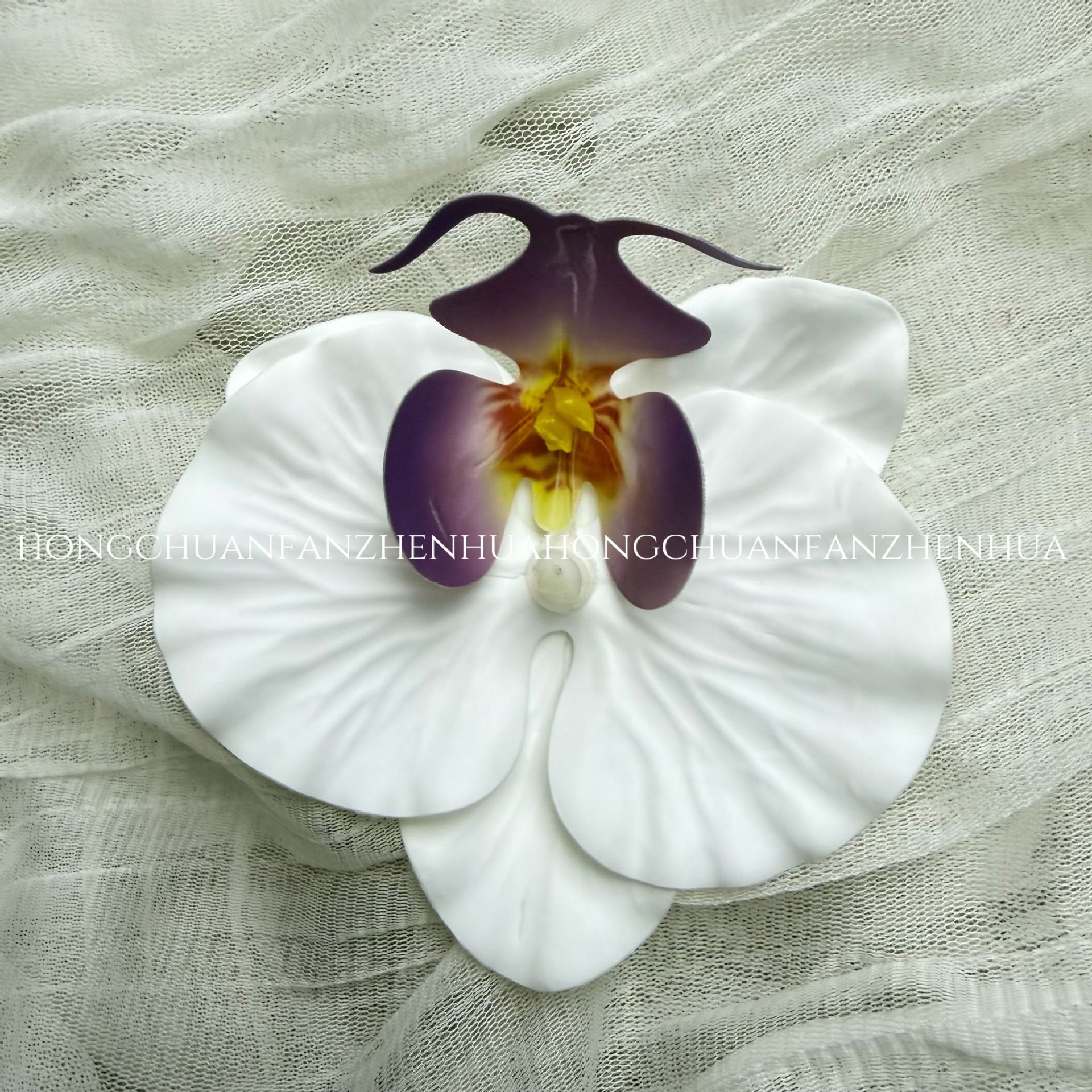 흰색 보라색 하트